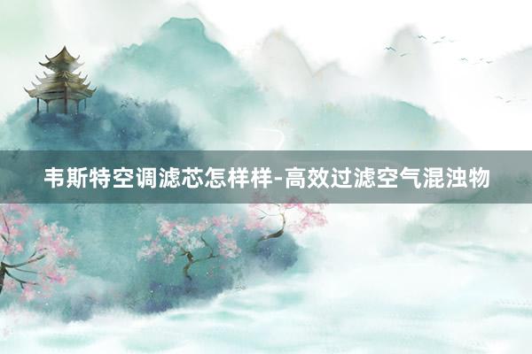 韦斯特空调滤芯怎样样-高效过滤空气混浊物