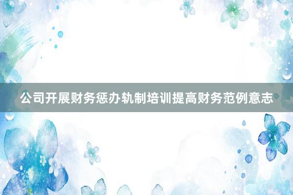 公司开展财务惩办轨制培训提高财务范例意志